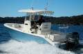 Cobia 240 CC