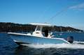 Cobia 240 CC