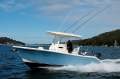 Cobia 240 CC