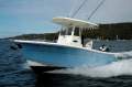 Cobia 240 CC