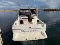 Mustang 3200 Wide Body Sports Cruiser