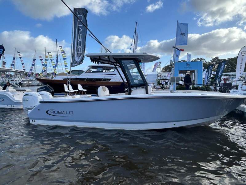 Robalo R250