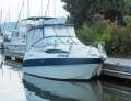 Bayliner 245 Sports Cruiser