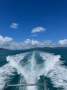 Oliver Royale 370 Looking for a Riviera or Maritimo