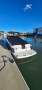 Regal Commodore 2750 Bowrider