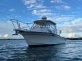 Grady-White Marlin 300 - 2005MY Walk Around Cabin
