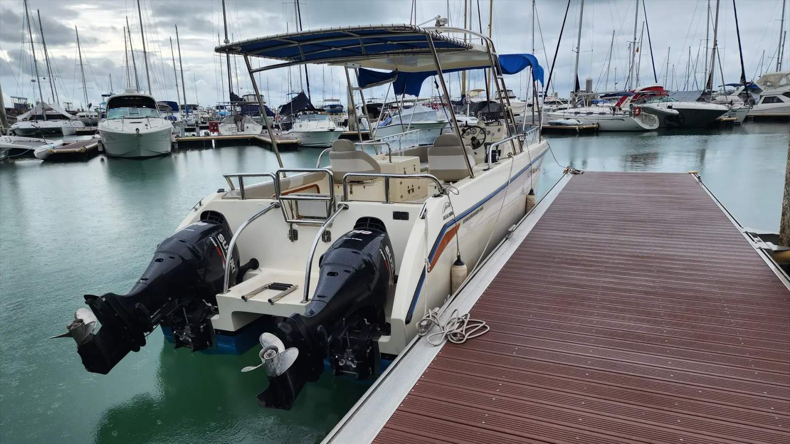AusThai AT800 Fishing Fun Cat