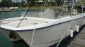 AusThai AT800 Fishing Fun Cat