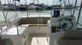 AusThai AT800 Fishing Fun Cat