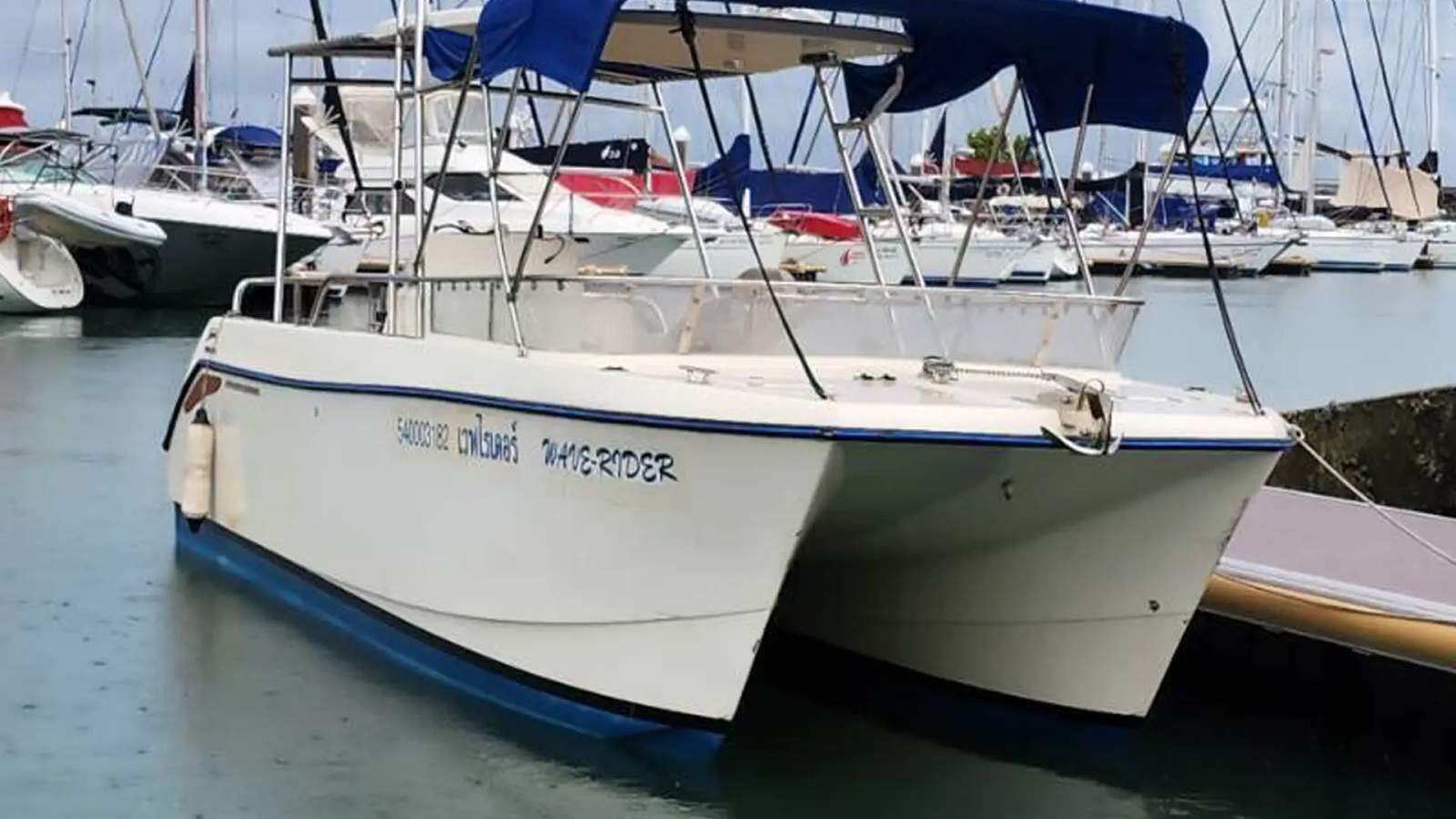 AusThai AT800 Fishing Fun Cat