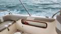 AusThai AT800 Fishing Fun Cat