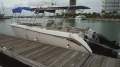AusThai AT800 Fishing Fun Cat