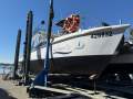 Cougar Cat 14.0 Flybridge