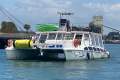 Cougar Cat 14.0 Flybridge
