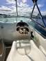 Mustang 2800 SportsCruiser Series III