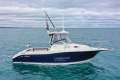 Seaswirl Striper 2601 WA *with Trailer & New MerCruiser*