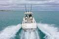 Seaswirl Striper 2601 WA *with Trailer & New MerCruiser*