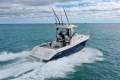 Seaswirl Striper 2601 WA *with Trailer & New MerCruiser*