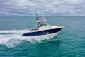 Seaswirl Striper 2601 WA *with Trailer & New MerCruiser*