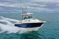 Seaswirl Striper 2601 WA *with Trailer & New MerCruiser*