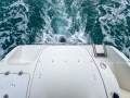 Seaswirl Striper 2601 WA *with Trailer & New MerCruiser*