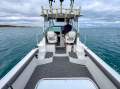 Seaswirl Striper 2601 WA *with Trailer & New MerCruiser*