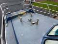 Western Australian Built Aluminium Catamaran
