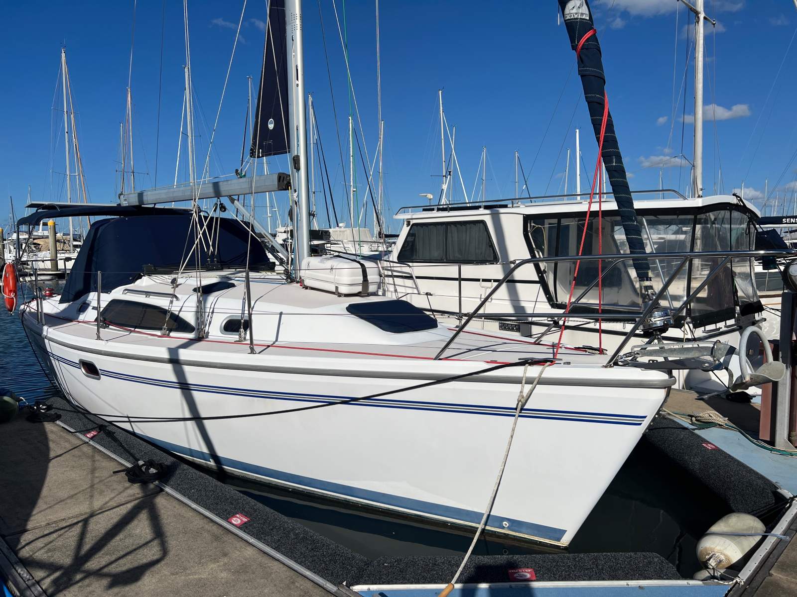Catalina 309