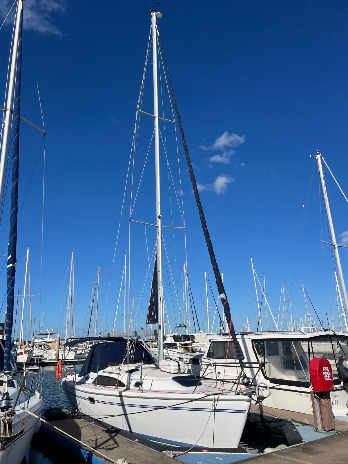 Catalina 309