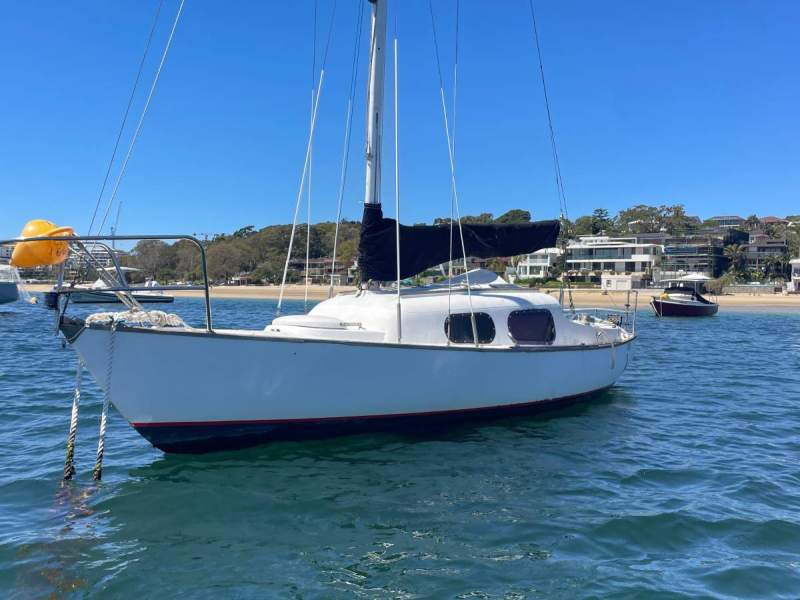 Mooring minder in Port Hacking