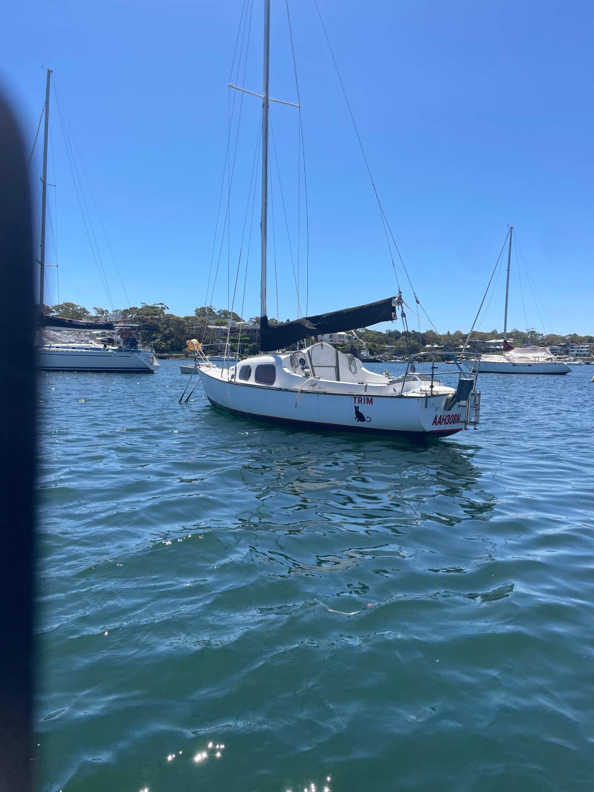 Mooring minder in Port Hacking