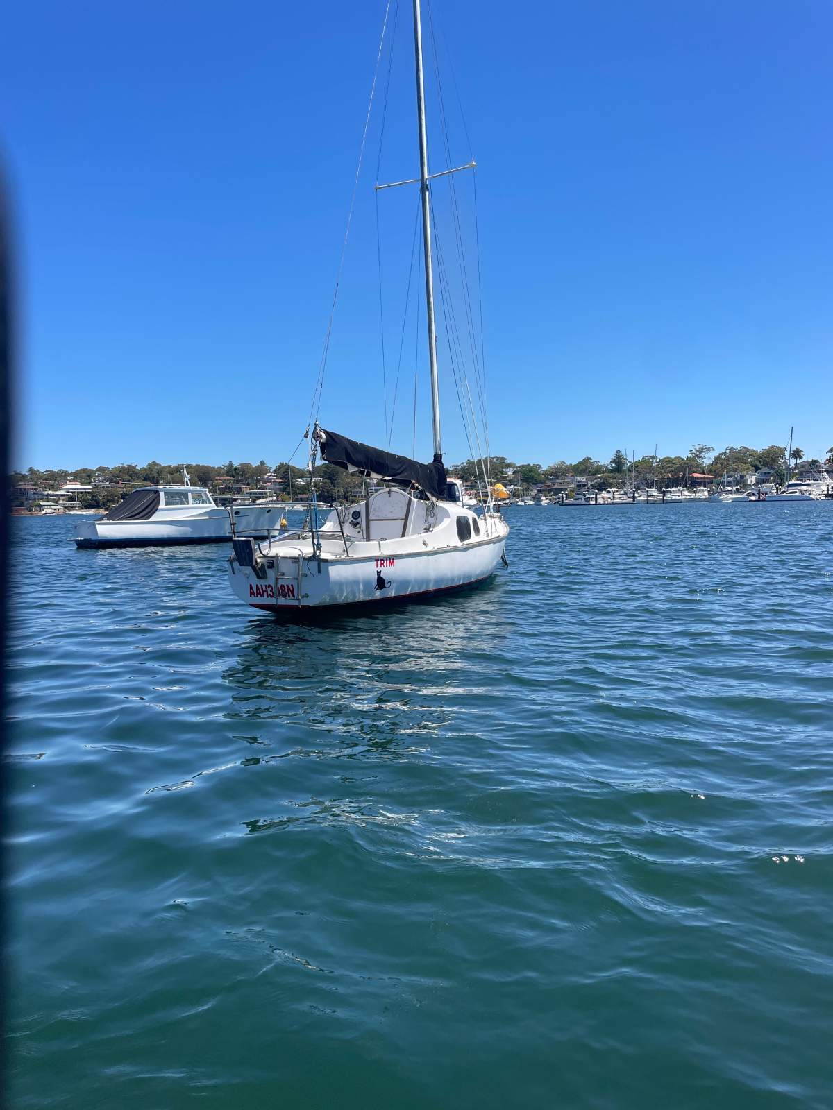 Mooring minder in Port Hacking