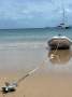 Perry 43 Catamaran Owners Version:Tender