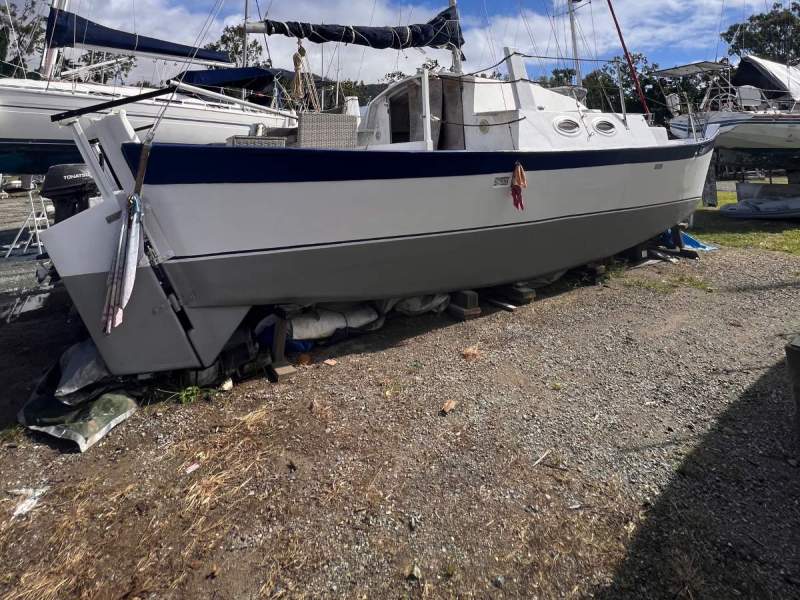 Wharram Tiki 38