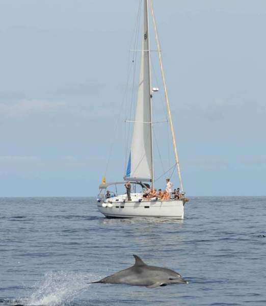 Bavaria Cruiser 45