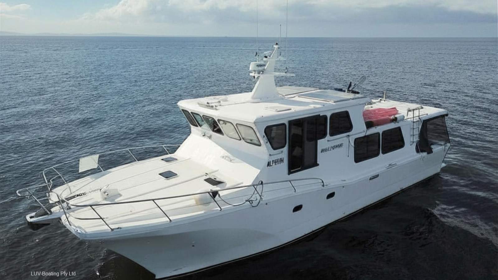 Cougar Cat 53