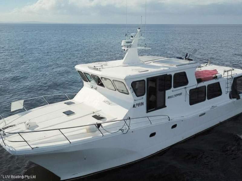 Cougar Cat 53