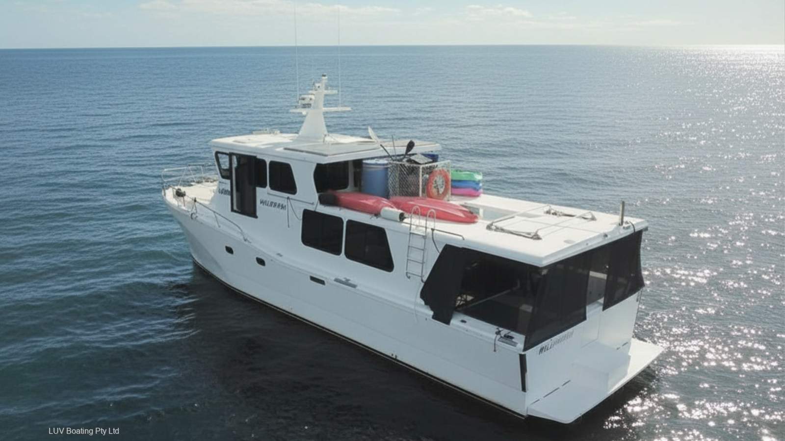 Cougar Cat 53