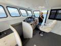 Cougar Cat 53