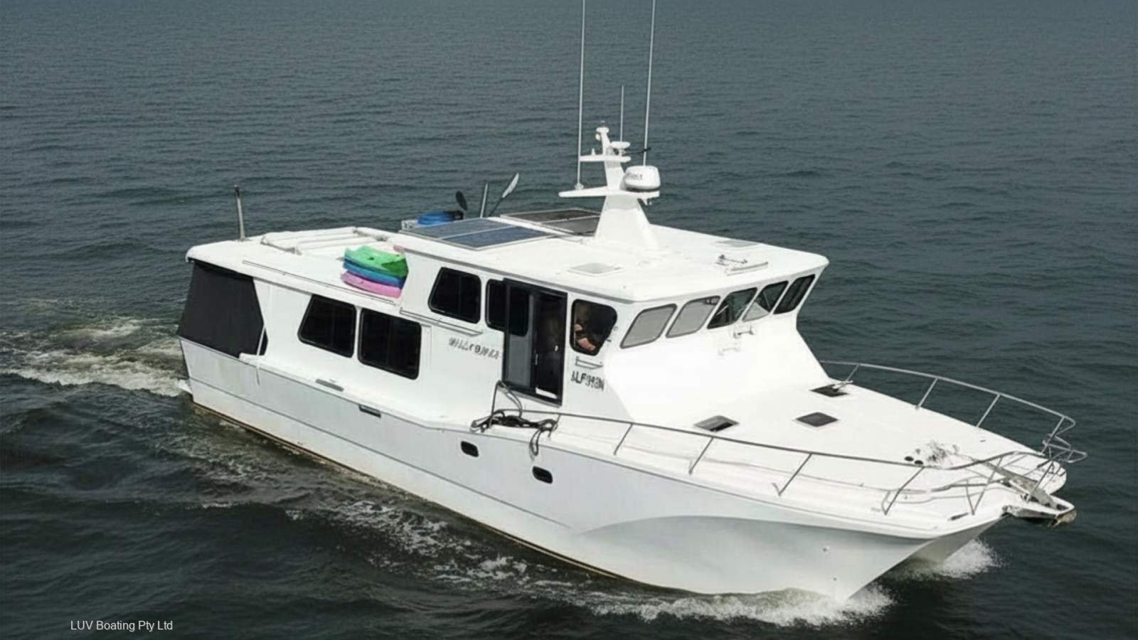 Cougar Cat 53