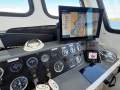 Cougar Cat 53