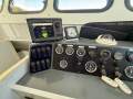Cougar Cat 53