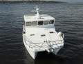 Cougar Cat 53