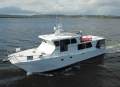 Cougar Cat 53