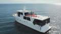 Cougar Cat 53