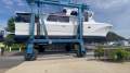 Cougar Cat 53