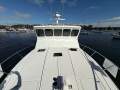 Cougar Cat 53