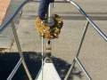 Farr 38 Sport