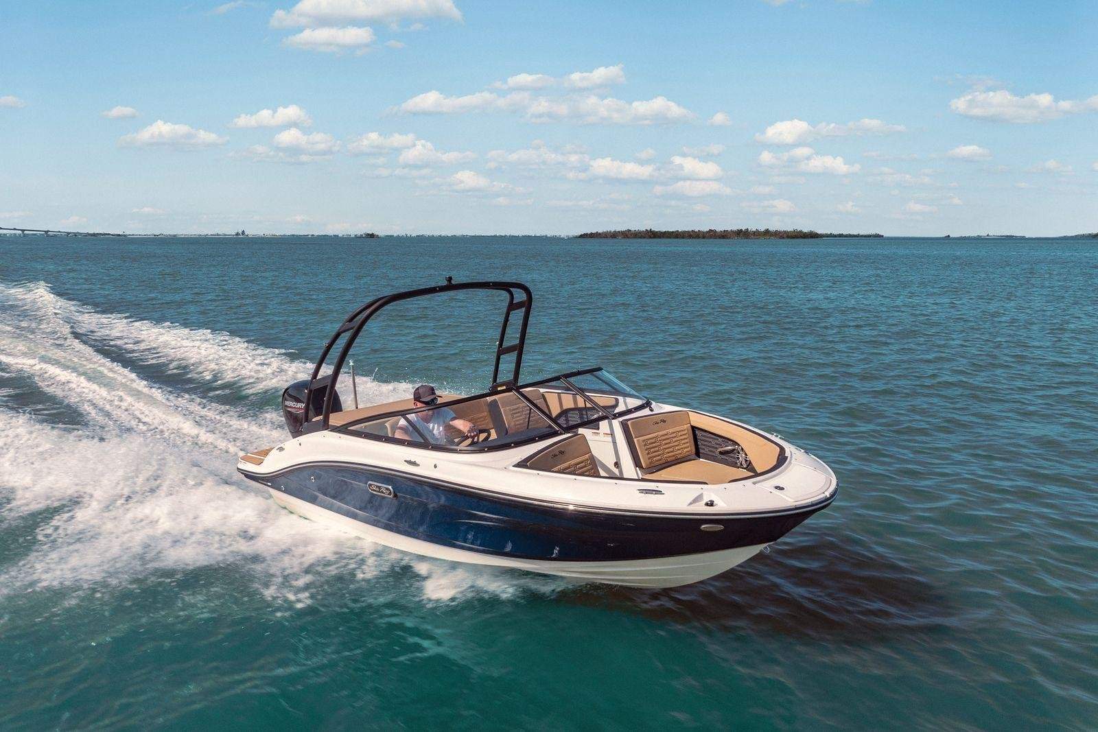 Sea Ray 190 SPX OB
