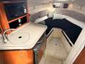 Sea Ray 245 Sundancer - Family Cruiser with trailer!